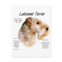 Lakeland Terrier History Design