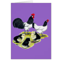 Lakenvelder Chicken Family Cards