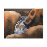 Lakes and Streams Postcard