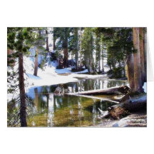 Lakes Trees Forrests Greeting Card