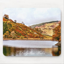 LAKES WALES MOUSE MAT