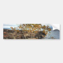 Lakeshore Tree Bumper Sticker