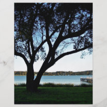 Lakeside view personalized flyer
