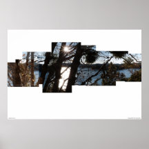 Lakeview in Autumn Poster