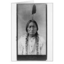 Lakota American Indian Chief Sitting Bull Cards