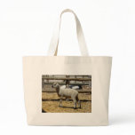 lamb bag