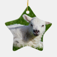 LAMB CHRISTMAS ORNAMENTS