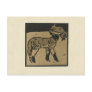 Lamb - Square Animals Illustration Post Cards