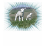 Lamb T-Shirt