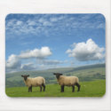 Lambs mousepads
