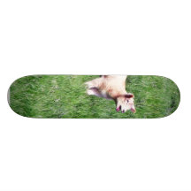 Lambs Sheep Skateboard