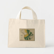 Lanai, Hawaiian islands 1878 Canvas Bag