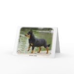 Lancashire Heeler 9R038D-013 Card