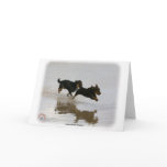 Lancashire Heeler 9R056D-182 Greeting Card