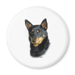 Lancashire Heeler magnets
