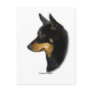 Lancashire Heeler Postcards