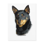 Lancashire Heeler Post Card