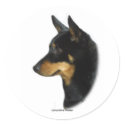 Lancashire Heeler stickers