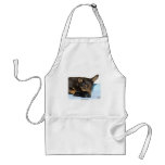 Lancashire Heeler with puppy Aprons