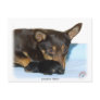 Lancashire Heeler with puppy Postcards
