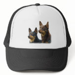Lancashire Heelers Mesh Hats