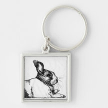 Lance the Unamused Bunneh Key Chains