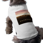 Land of The Pharaoh pet clothing