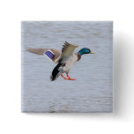 Landing Drake buttons