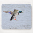 Landing Drake mousepads