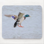 Landing Drake mousepads