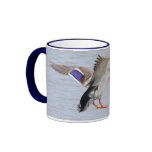Landing Drake mugs