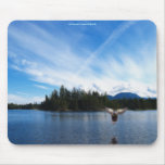 Landing Duck & Lake Wildlife Photo Mousepad