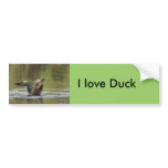 Landing Mallard Bumper Sticker bumper stickers