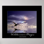 Landing Mallard Duck Wilderness Magic Photo Print