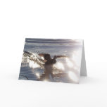 Landing MALLARD DUCK Wildlife Photo Greeting-Card