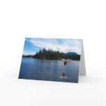 Landing Mallard Duck Wildlife Photo Greeting Card