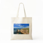 Land's End bags