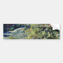 Landscape Arch At Arches National Park Bumper Sticker