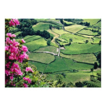 Landscape at Sao Miguel, Acores Islands  flowers Personalized Announcements