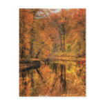 Landscape - Autumn in New Jersey Postcard