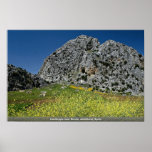 Landscape near Ronda, Andalucia, Spain Posters