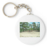 Landscape of the taiga keychains