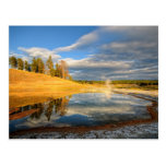Landscape of Yellowstone Postcard