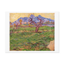 Landscape, Olive Tree, Mountains, Vincent van Gogh Postcard