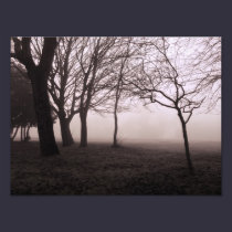 Landscape Print Trees in Mist photography