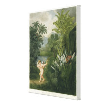 Landscape with Cupid aiming an arrow at a Parrot o Stretched Canvas Prints