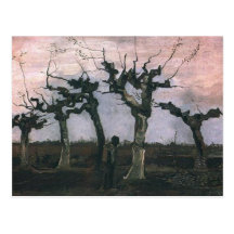 Landscape with Pollard Willows Post Cards
