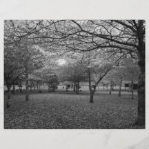Landscape with trees flyer design