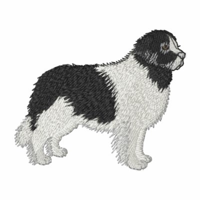 Landseer Landseer