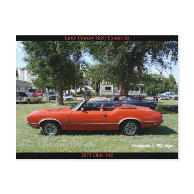 Lane County Cruise In -  1971 Olds 442 Postcard by wksimages